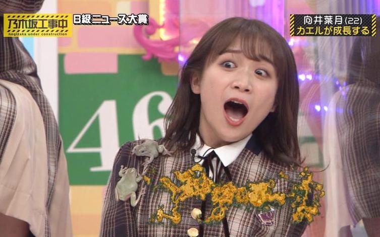 《乃木坂工事中》ep86打造和乃木坂46密不可分的粉丝文化