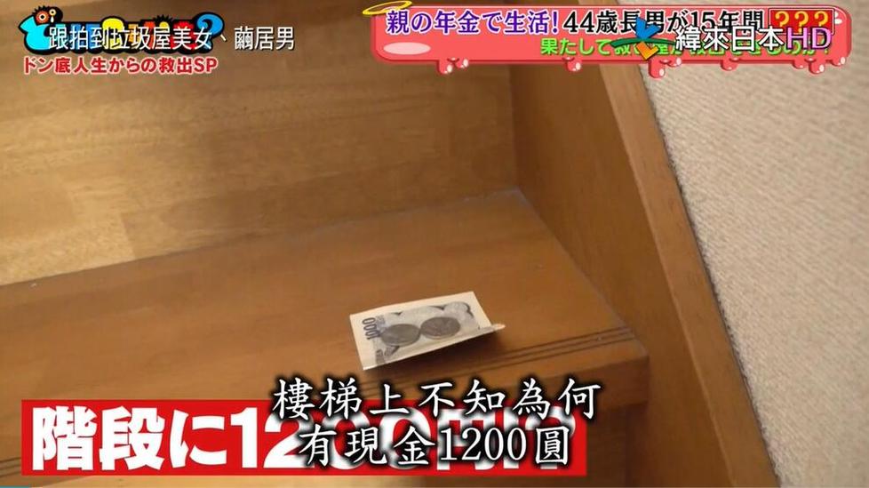 看家庭故事如何揭示人生价值：《可以去你家吗》综艺节目视频播放
