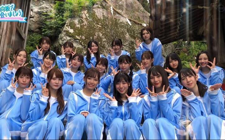 推荐几个免费看日本综艺的平台-去哪里看日本综艺