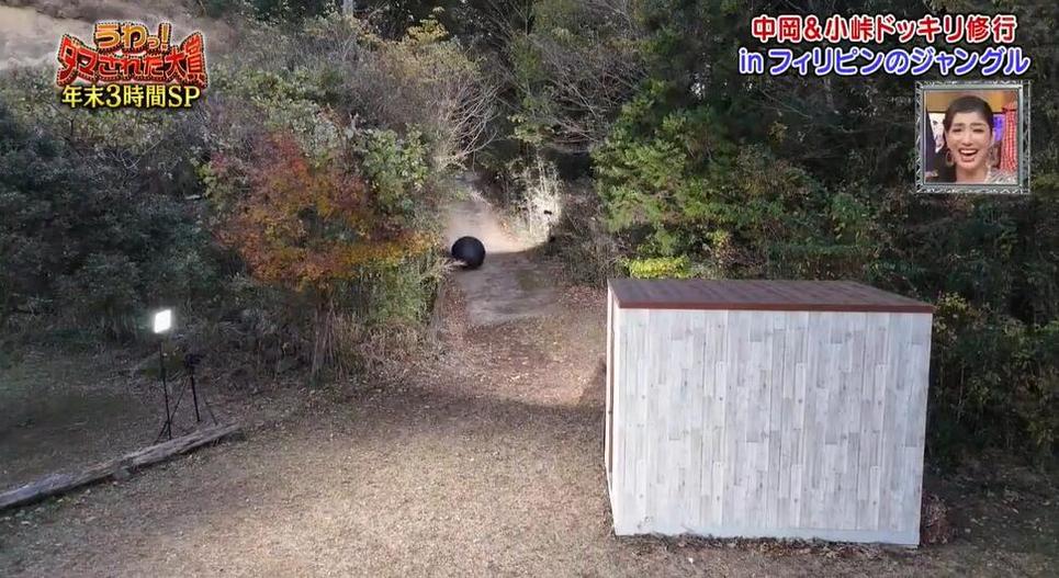 分析日本料理节目为何大热，追求何种观赏体验？
