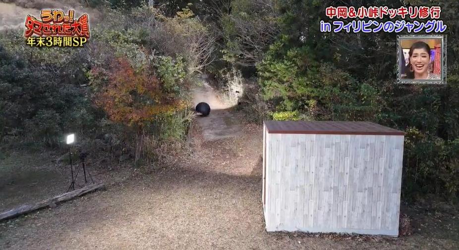 颠覆传统，走进日本《整人大赏》2021完整版，感受不一样的综艺魅力